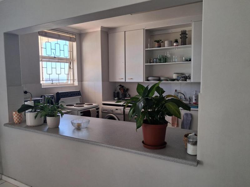 To Let 3 Bedroom Property for Rent in Vredehoek Western Cape